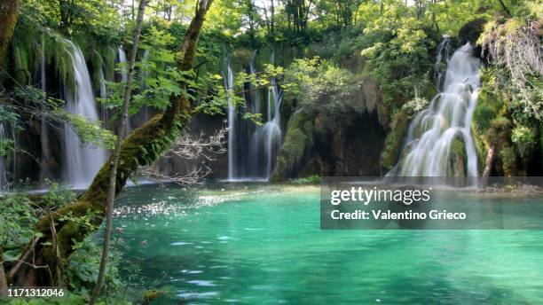 beautifull waterfalls in plitivce - nationalpark plitvicer seen stock-fotos und bilder