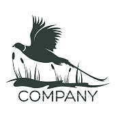 Bird pheasant logo