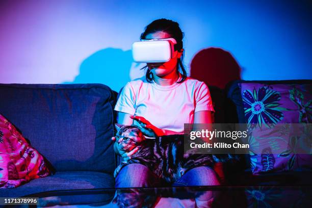 woman using virtual reality headset and interacting with a cat - cat vr stock-fotos und bilder