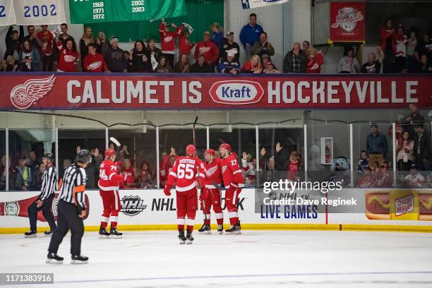 Michael Rasmussen of the Detroit Red Wings celebrates a second period goal with teammates against the St. Louis Blues during a pre-season Kraft...