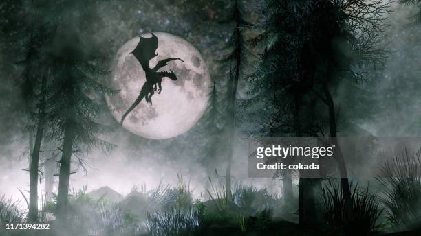 drachen fliegen in der nacht - mythology stock-fotos und bilder