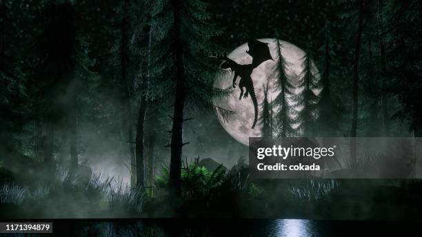 dragon flying at night - lagoon forest stock pictures, royalty-free photos & images