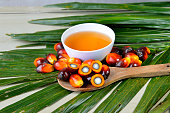 Palm oil, a well-balanced healthy edible oil is now an important energy source for mankind. It comes from the fruit itself (reddish orange).