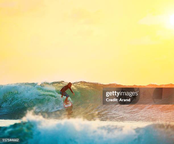 surfing - surfer stock pictures, royalty-free photos & images