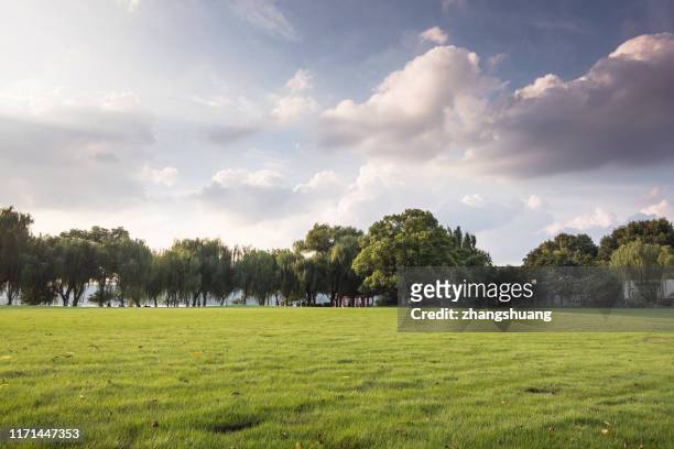 green grassland and blue sky - grass area stock pictures, royalty-free photos & images