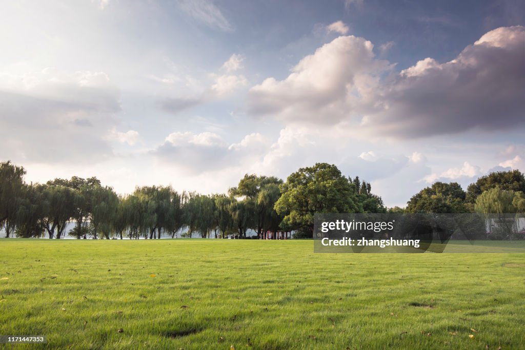 Green grassland and blue sky