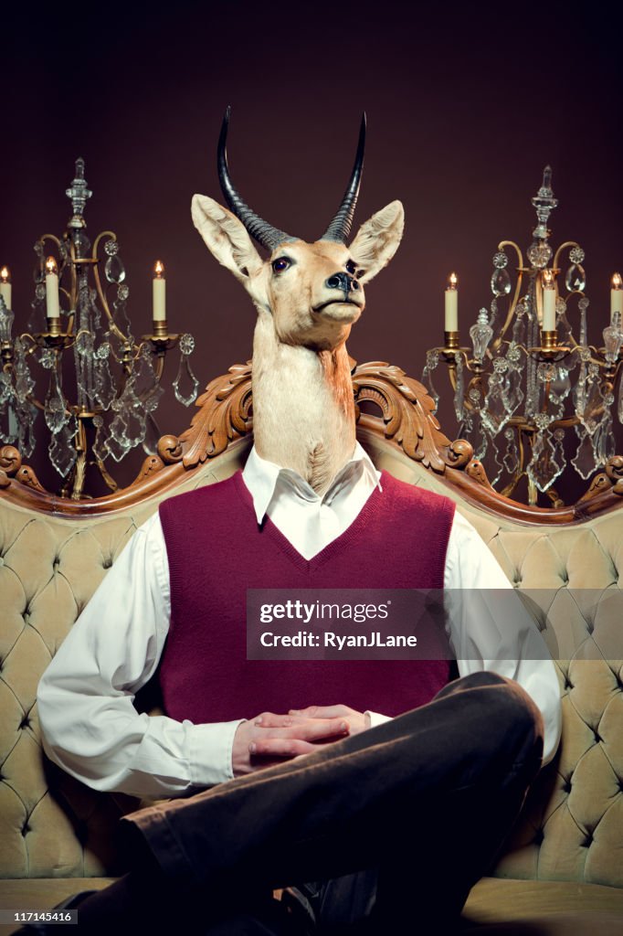 High Society Antelope Man