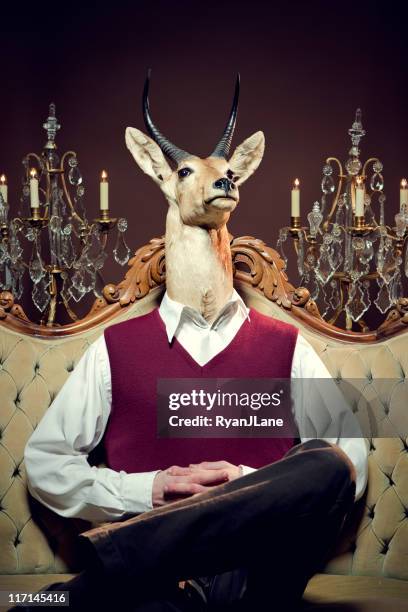 high society antelope man - grand room stock pictures, royalty-free photos & images