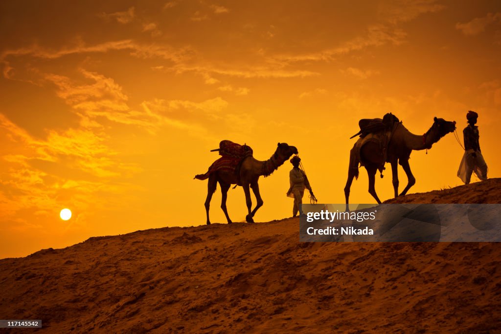 Camel Riders in the Desert