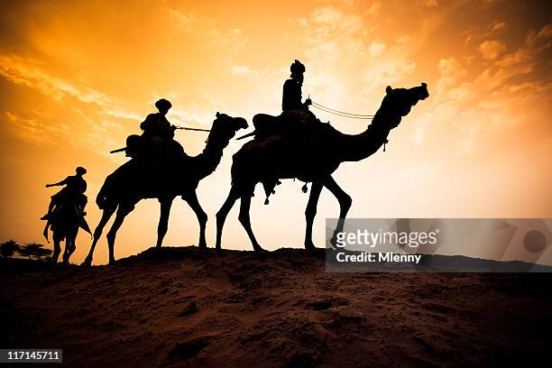 silhouette of camel caravan at desert sunset - camel active stockfoto's en -beelden