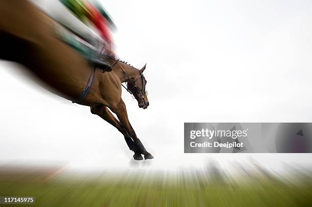14.674 fotos de stock e banco de imagens de Horse Racing Back