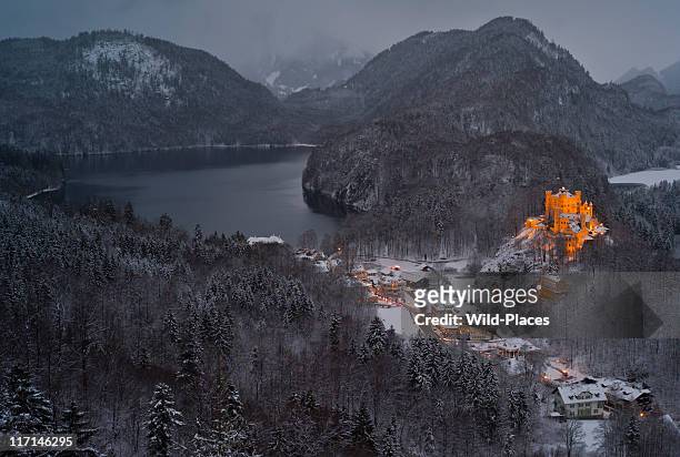 hohenschwangau at night - hohenschwangau castle stock pictures, royalty-free photos & images