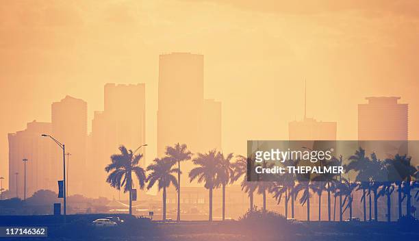 palmen und die skyline von miami. - miami beach stock-fotos und bilder