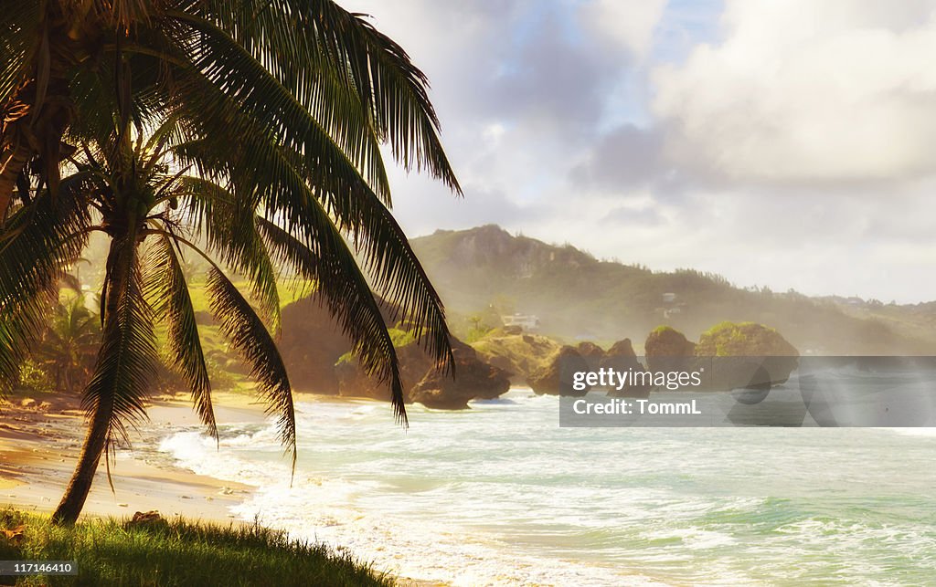 Bathsheba, Barbados