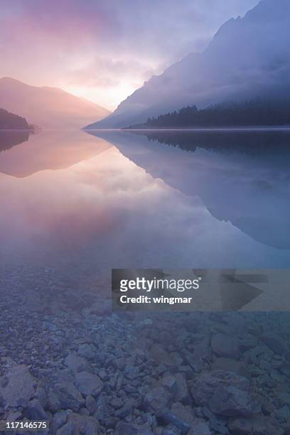 morning mist at lake plansee, tirol, austria, vertical - morning stockfoto's en -beelden