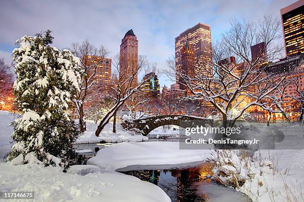 winter in central park, new york city - central park winter stock pictures, royalty-free photos & images