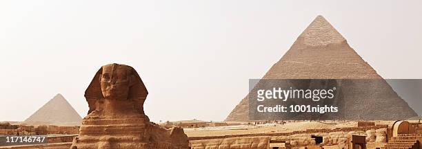the sphinx and pyramid - the sphinx stock pictures, royalty-free photos & images