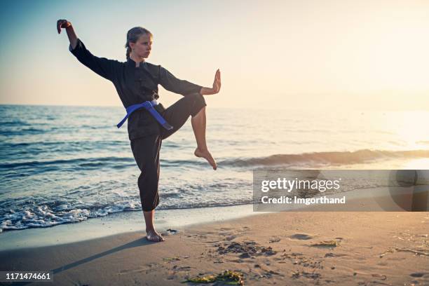 adolescente pratiquant le kung fu sur la plage - kung fu photos et images de collection