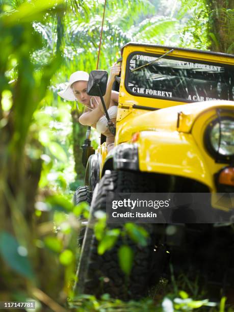 offroad 4 x 4 dschungel safari - jungle safari stock-fotos und bilder