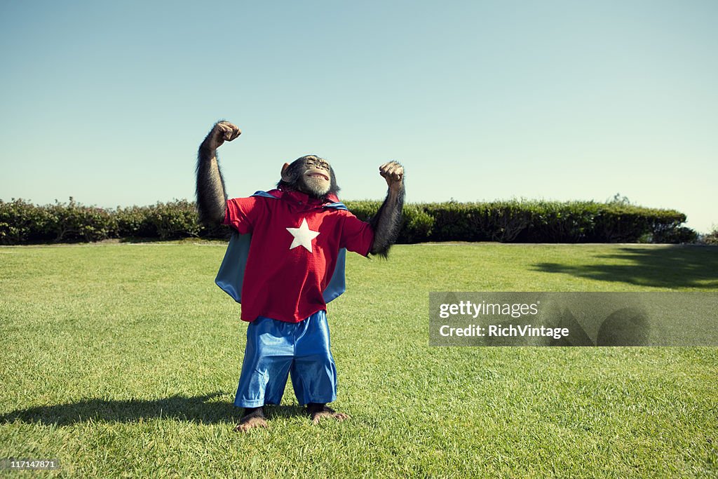 Super Chimp