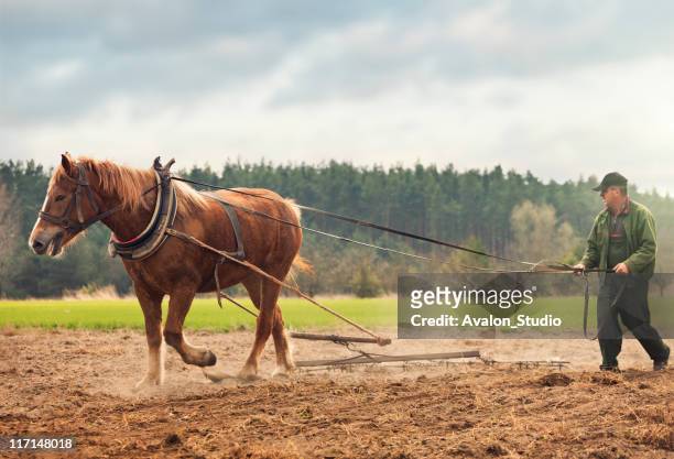 farmer and horse working in the field - plough stock pictures, royalty-free photos & images