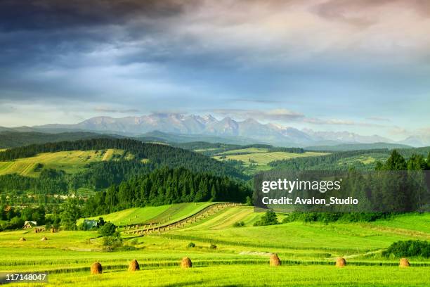 mountain landscape - poland 個照片及圖片檔