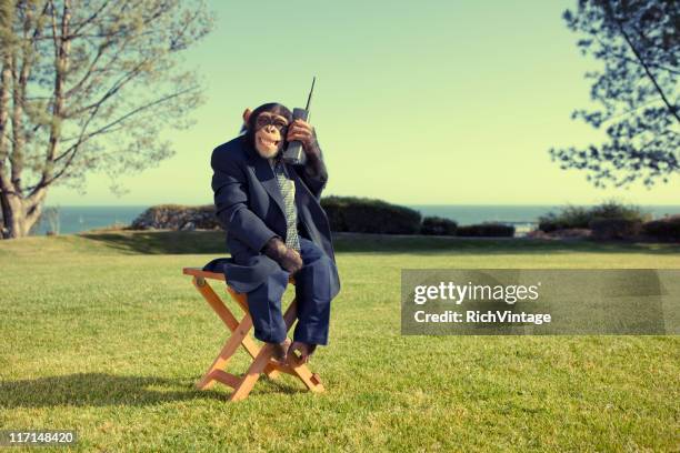mobile technology - monkey smiling stock pictures, royalty-free photos & images