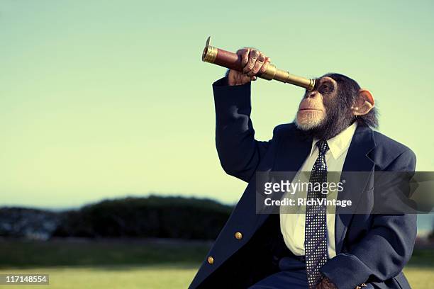 business vision - monkey see stock pictures, royalty-free photos & images