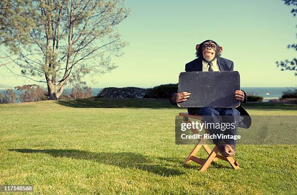 say anything - monkey holding sign stock pictures, royalty-free photos & images