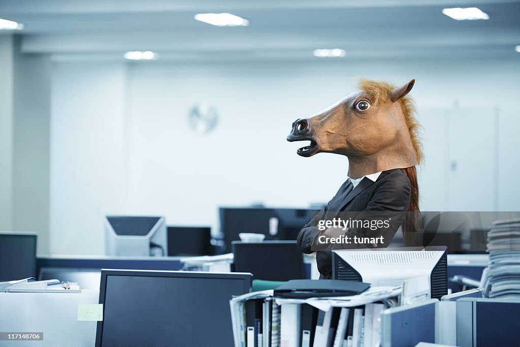 Autoritaire cheval dans le bureau