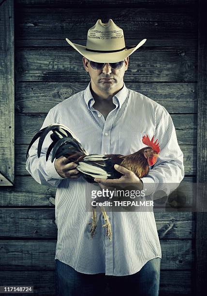 agriculteur tenant un combat coq - cock fighting photos et images de collection
