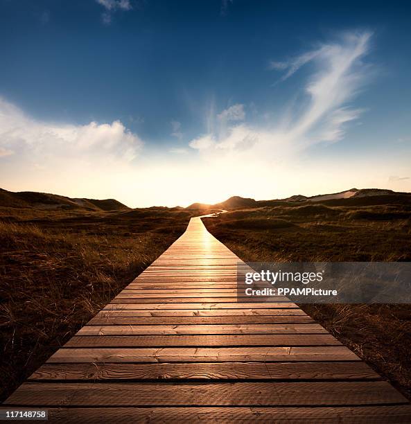 way through the dunes with a huge sky - vanishing point stock pictures, royalty-free photos & images