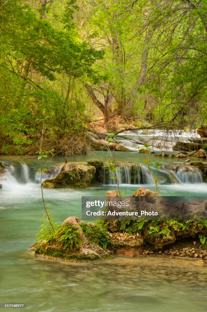 Wasserfall Havasu Creek Canyon