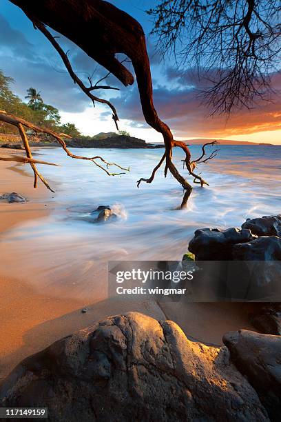 idyllci maui sunset - pacific ocean hawaii - makena maui stock pictures, royalty-free photos & images