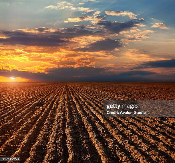 plowed fiel - ploughed field stock pictures, royalty-free photos & images