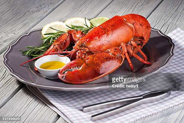 close up of fresh steamed lobster with herbs in grey plate - lobster seafood stock pictures, royalty-free photos & images