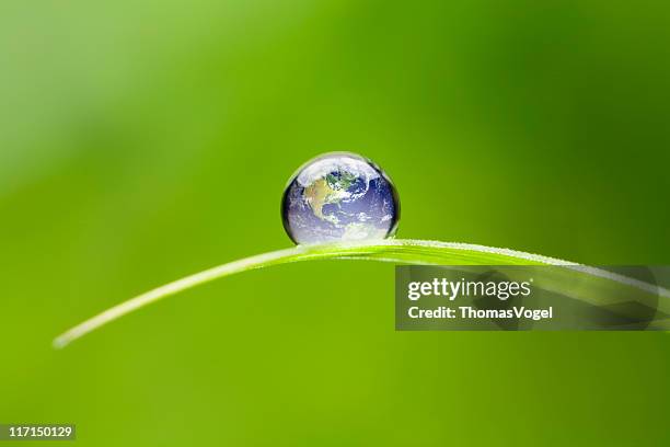 petite terre de l'amérique du nord. nature environnement aquatique de dépôt verte monde - pureté photos et images de collection