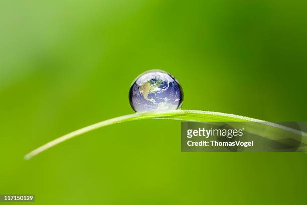 small earth north america. nature water environment green drop world - international day stock pictures, royalty-free photos & images