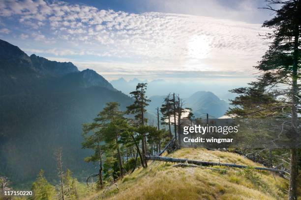 panorama-blick auf die berge in bayern, deutschland, alpen - neuschwanstein stock-fotos und bilder