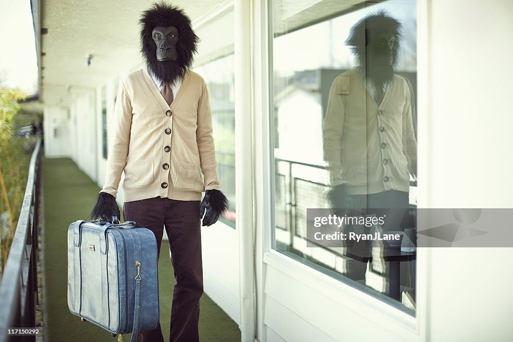 Gorilla Business Man in Hotel Hallway