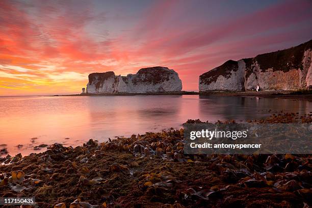 old harry rocks, au lever du soleil - baie de studland photos et images de collection