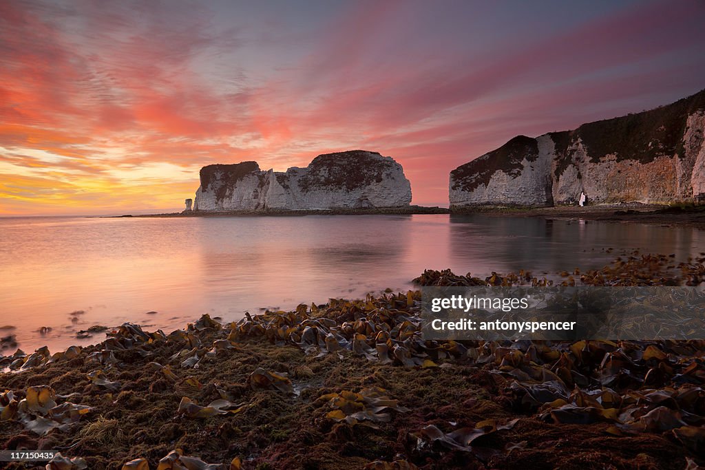 Old Harry Rocks, sunrise