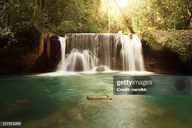 le cascate ys in giamaica - jamaican foto e immagini stock