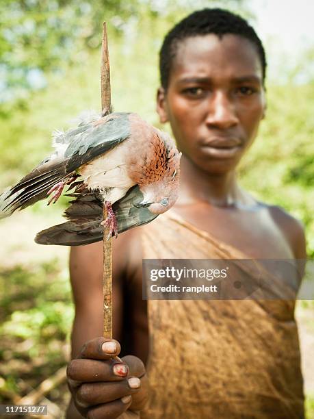 african bushman hunter showing his prey - gallus gallus stock pictures, royalty-free photos & images