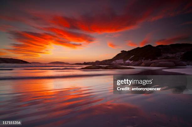 divine light - western australia bildbanksfoton och bilder