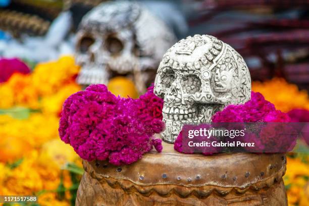 a day of the dead image in mexico city - religious offering stock pictures, royalty-free photos & images