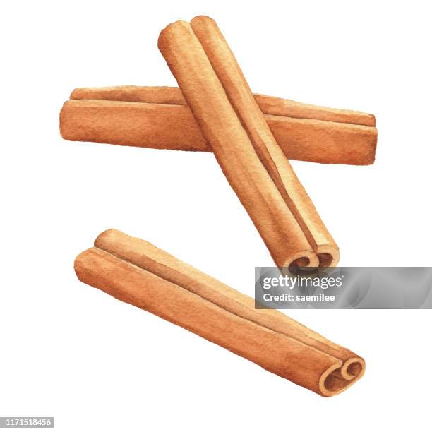 ilustrações de stock, clip art, desenhos animados e ícones de watercolor cinamon sticks - canela