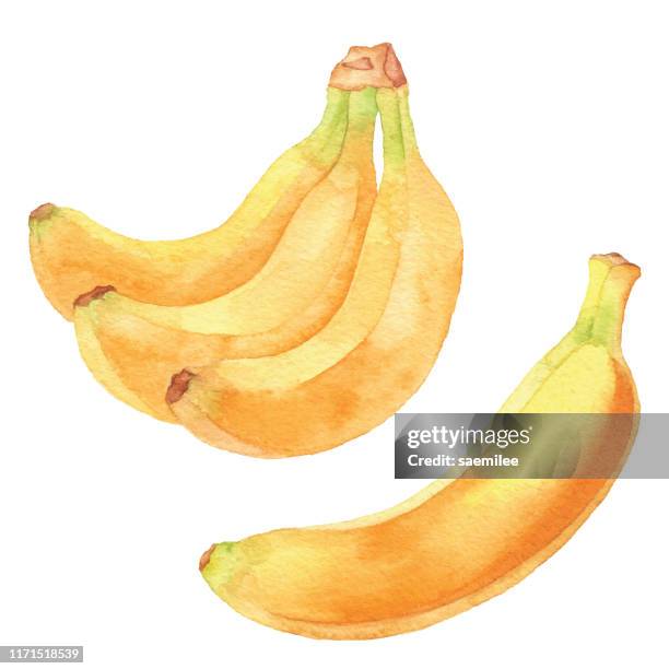 illustrazioni stock, clip art, cartoni animati e icone di tendenza di banane acquerello - banana