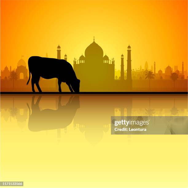 kuh und taj mahal (alle gebäude sind vollständig und beweglich) - jama masjid delhi stock-grafiken, -clipart, -cartoons und -symbole