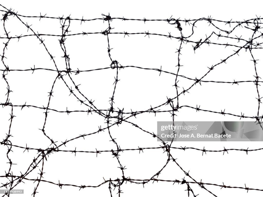 Barbed wire against on a white background.